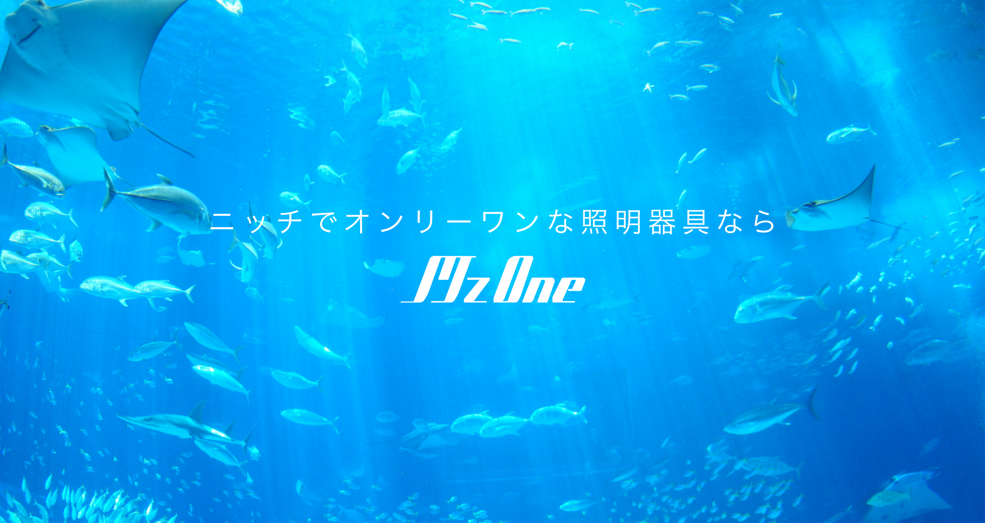エムズワン有限会社 - 植物育成用照明・爬虫類育成用ランプなら